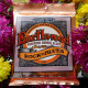 Струни Ernie Ball 2151 Earthwood Phosphor Bronze 10-52 Rock and Blues