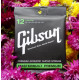 Gibson SAG-PB12 Premium Phosphor Bronze 12-53