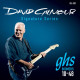 Струни GHS David Gilmour Signature Strat Boomers GB-DGF 10-48